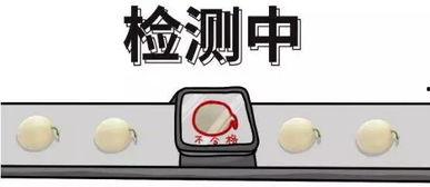 娱乐吃瓜酱几何问题,揭秘那些令人捧腹的几何趣事